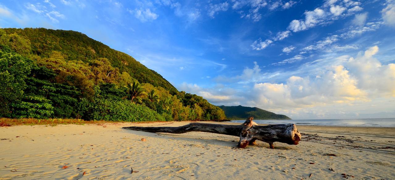 Daintree Rainforest Beach House Villa Diwan Esterno foto